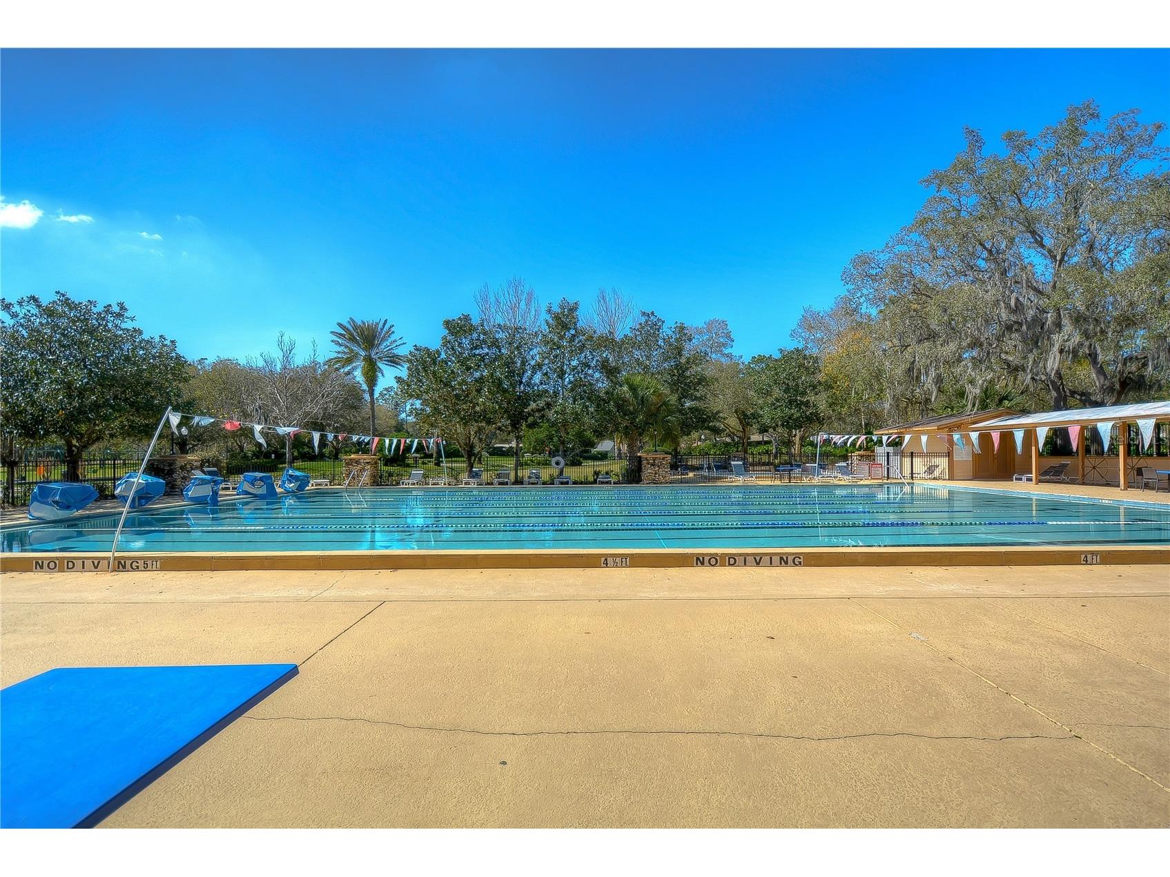 5910 Cherry Oak Drive Valrico FL 33596 TB8487288 image39