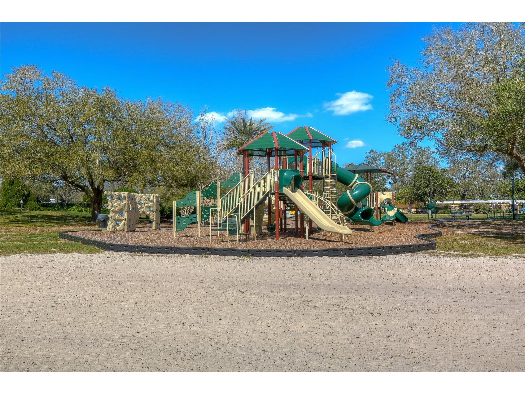 5910 Cherry Oak Drive Valrico FL 33596 TB8487288 image40