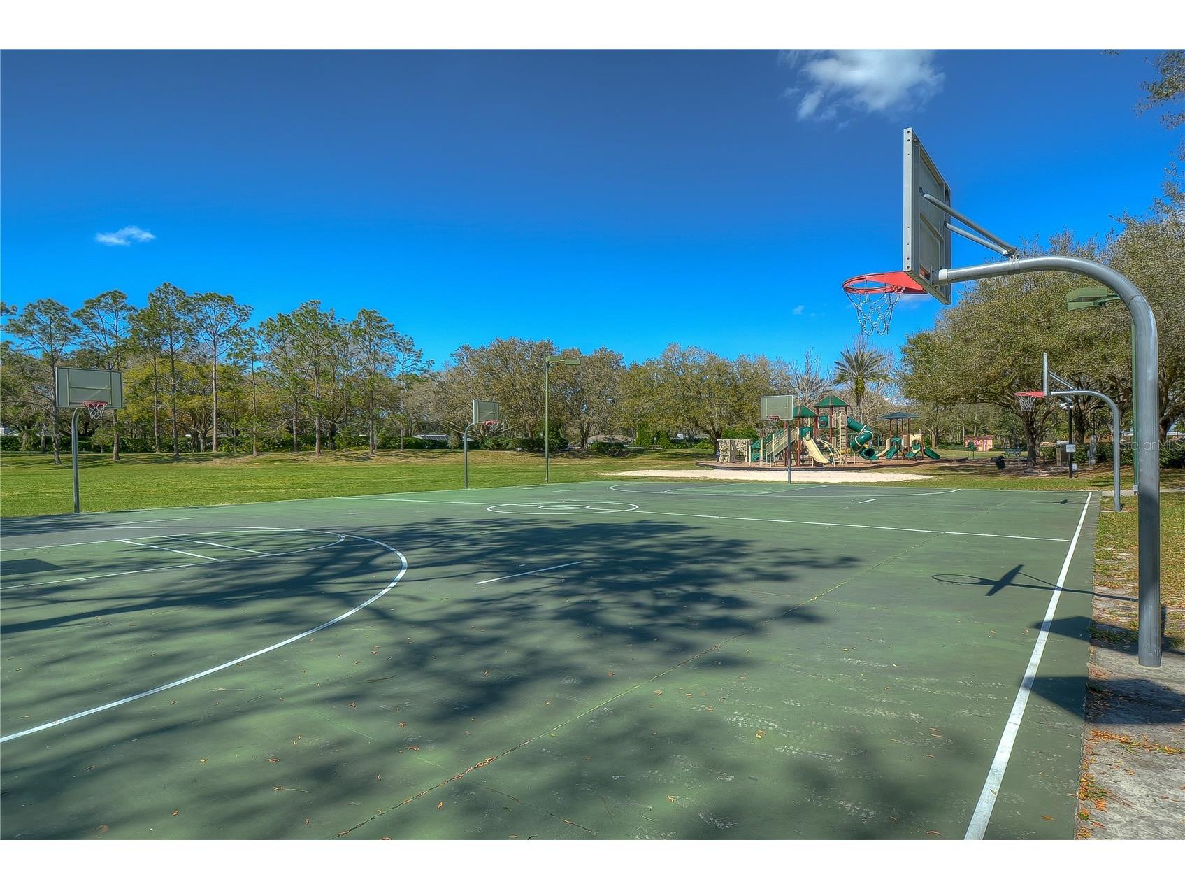 5910 Cherry Oak Drive Valrico FL 33596 TB8487288 image41