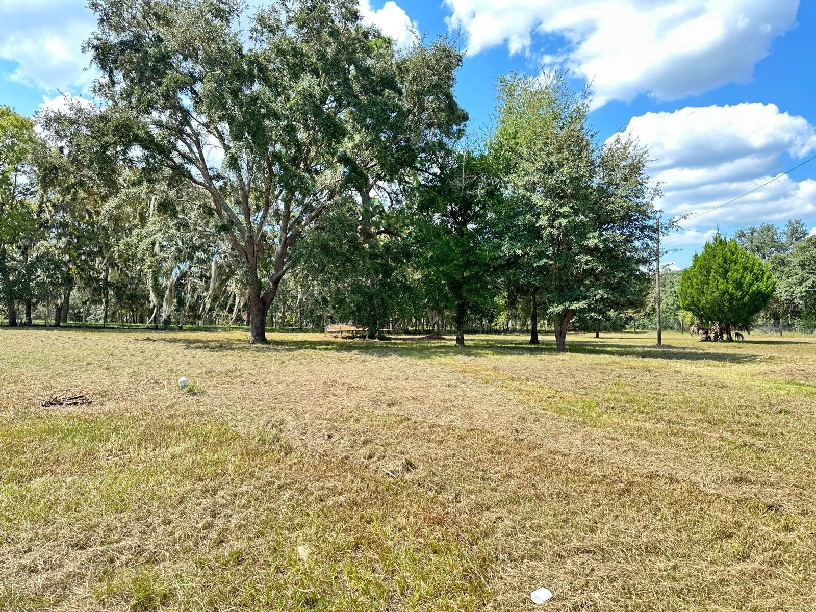 5910 W Donahue Lane Homosassa FL 34448 TB8413668 image15