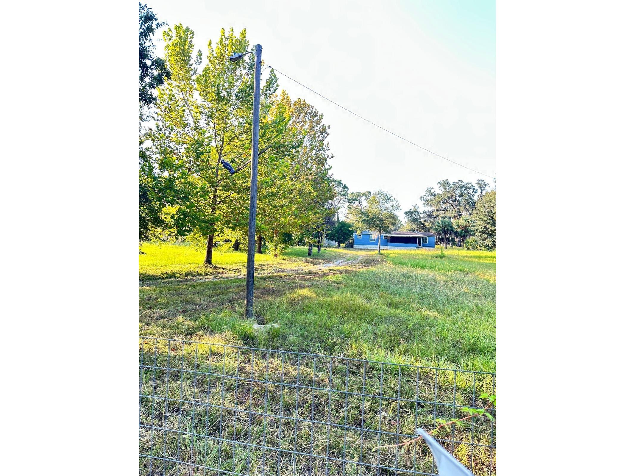 5910 W Donahue Lane Homosassa FL 34448 TB8413668 image17