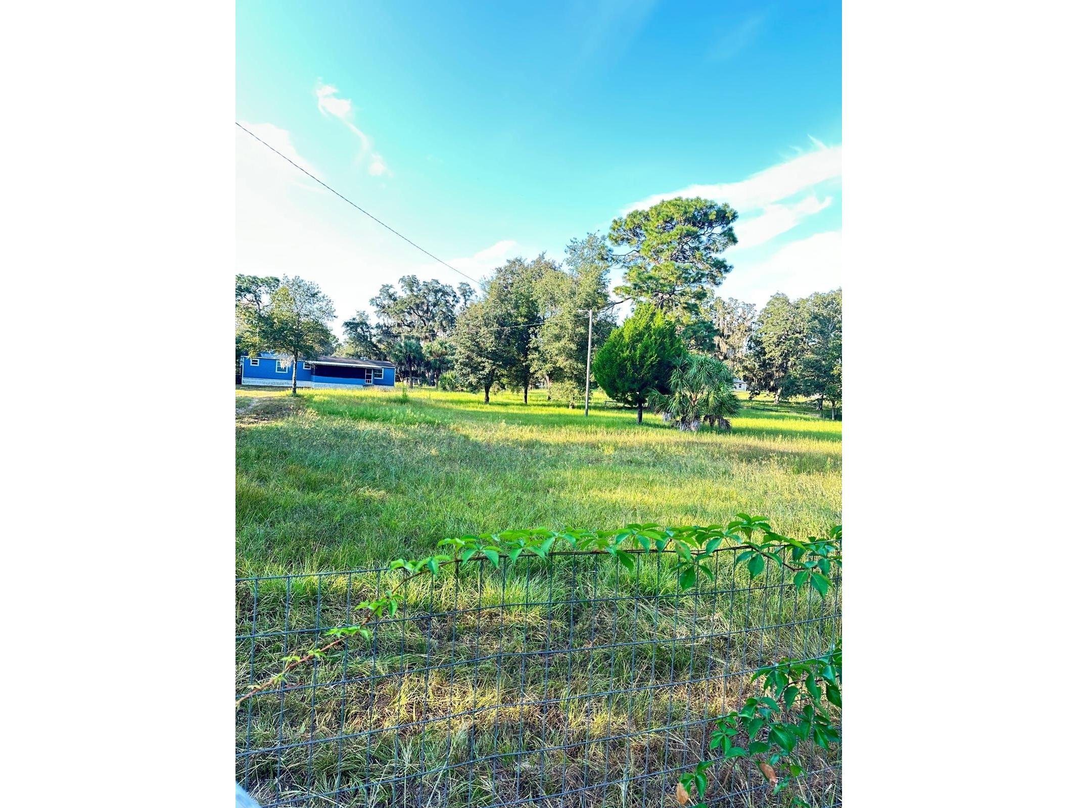 5910 W Donahue Lane Homosassa FL 34448 TB8413668 image4