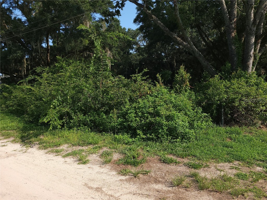 5911 NW 17th Street Ocala FL 34482 OM661317 image1