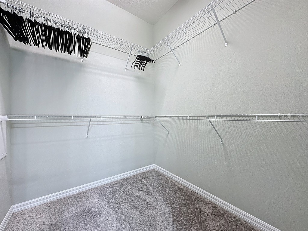 5911 Paxton Ct Apopka FL 32703 S5131255 image27