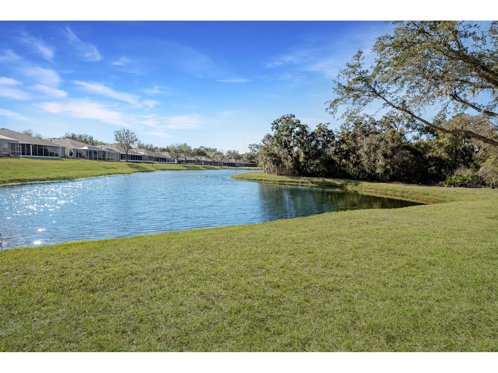 5911 Phoebenest Drive Lithia FL 33547 TB8472322 image41