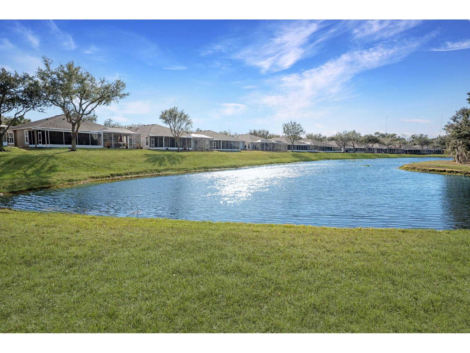 5911 Phoebenest Drive Lithia FL 33547 TB8472322 image42