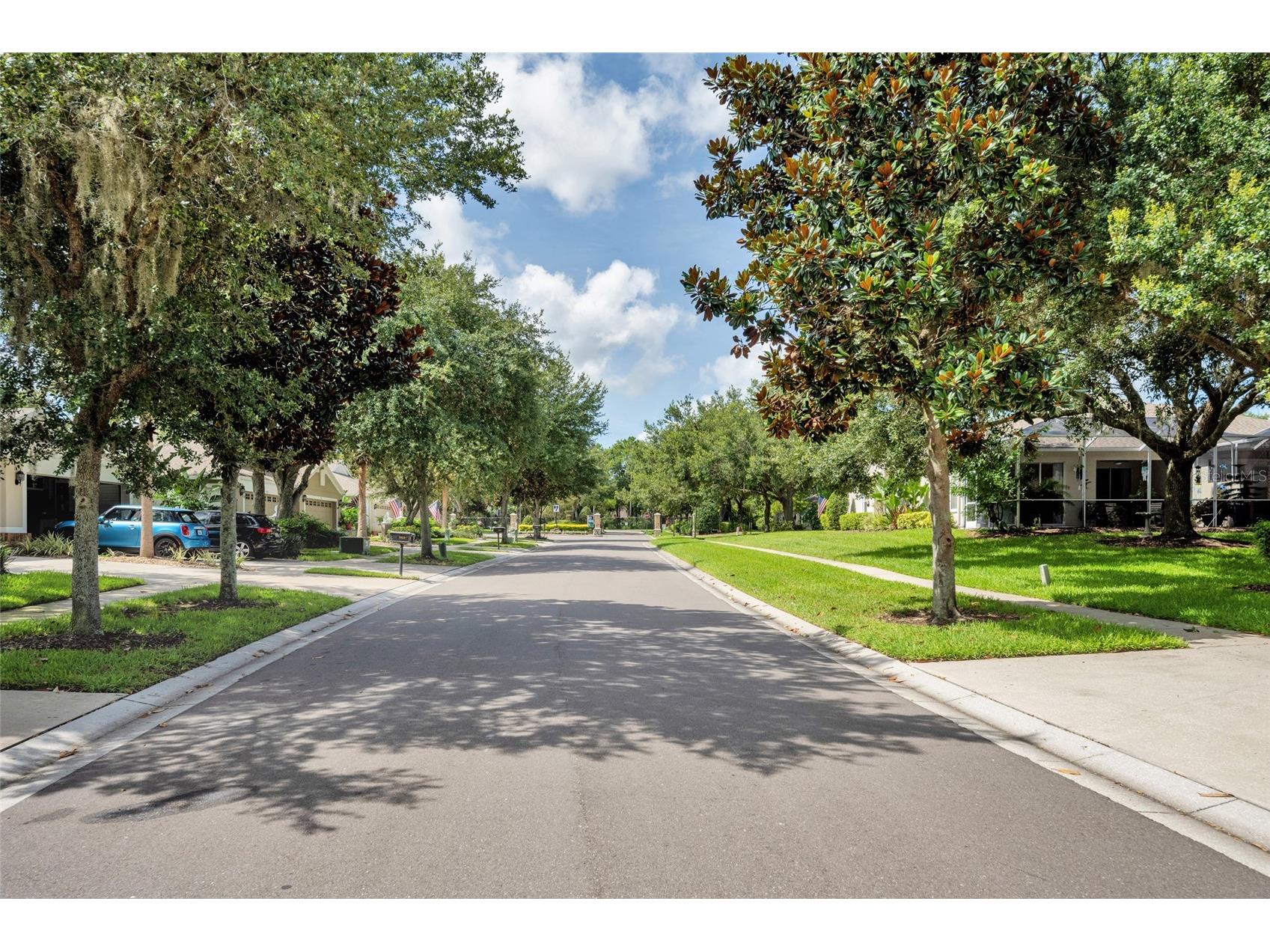 5911 Phoebenest Drive Lithia FL 33547 TB8472322 image51