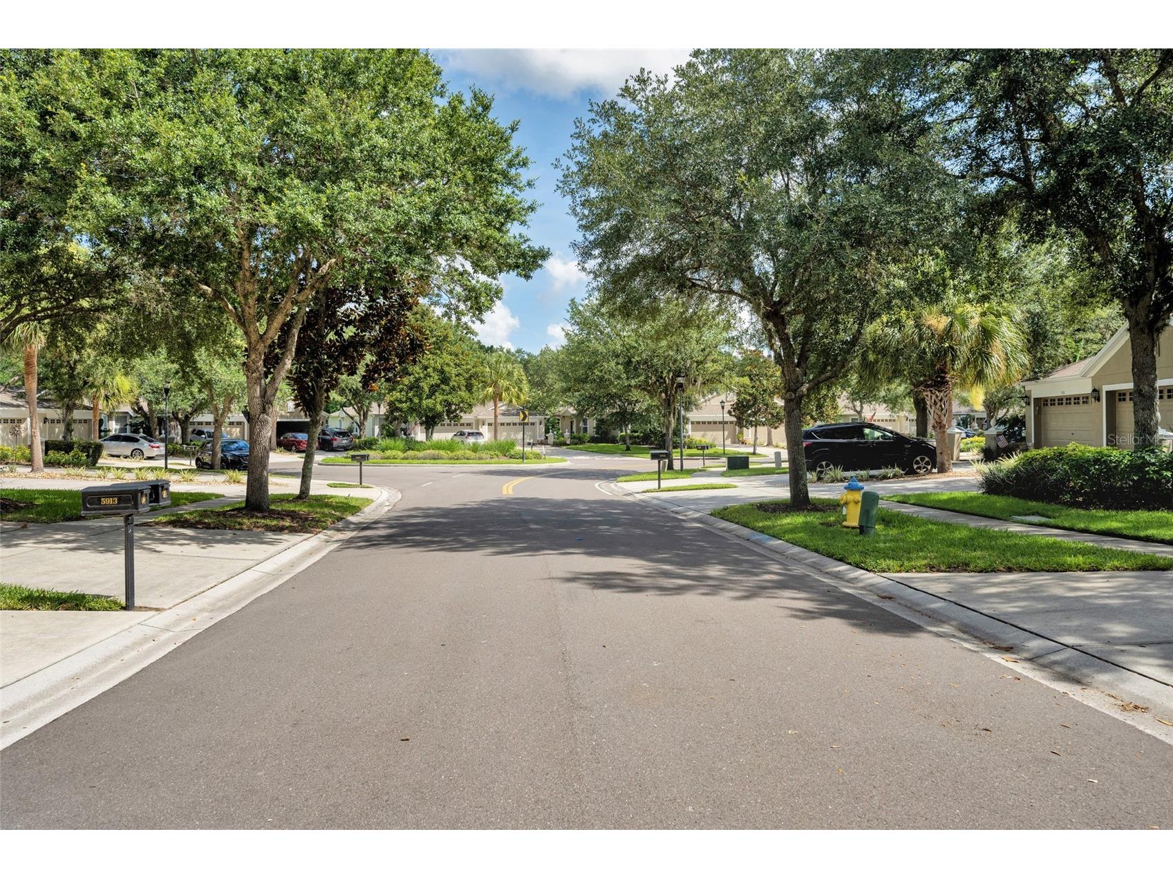 5911 Phoebenest Drive Lithia FL 33547 TB8472322 image52