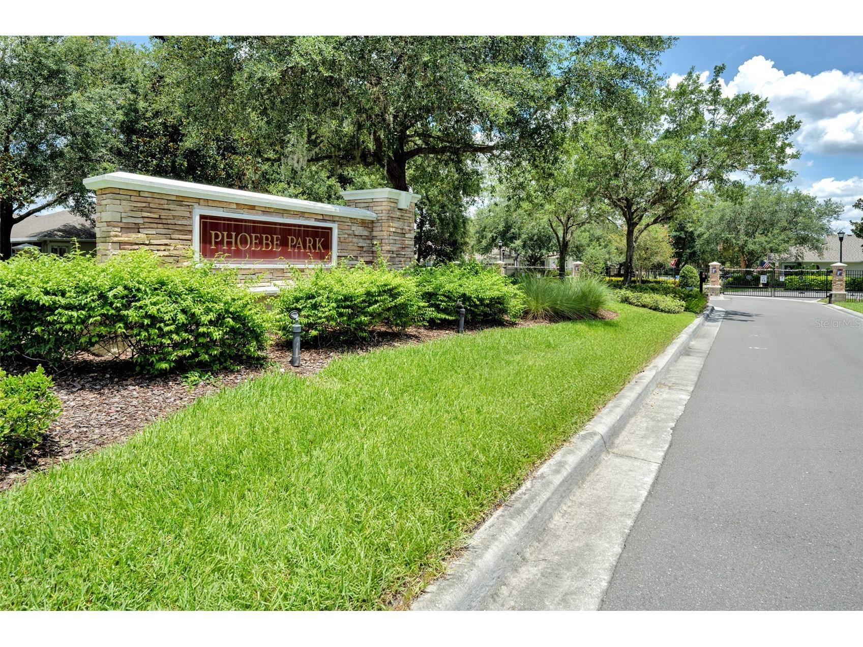 5911 Phoebenest Drive Lithia FL 33547 TB8472322 image53