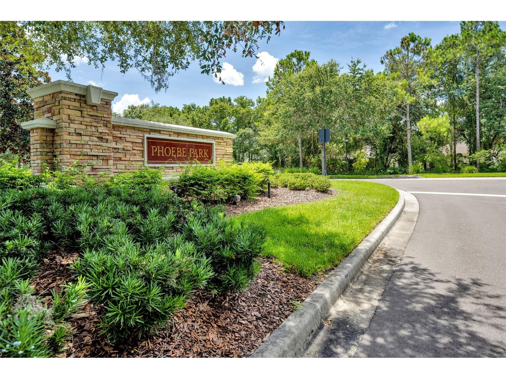 5911 Phoebenest Drive Lithia FL 33547 TB8472322 image54