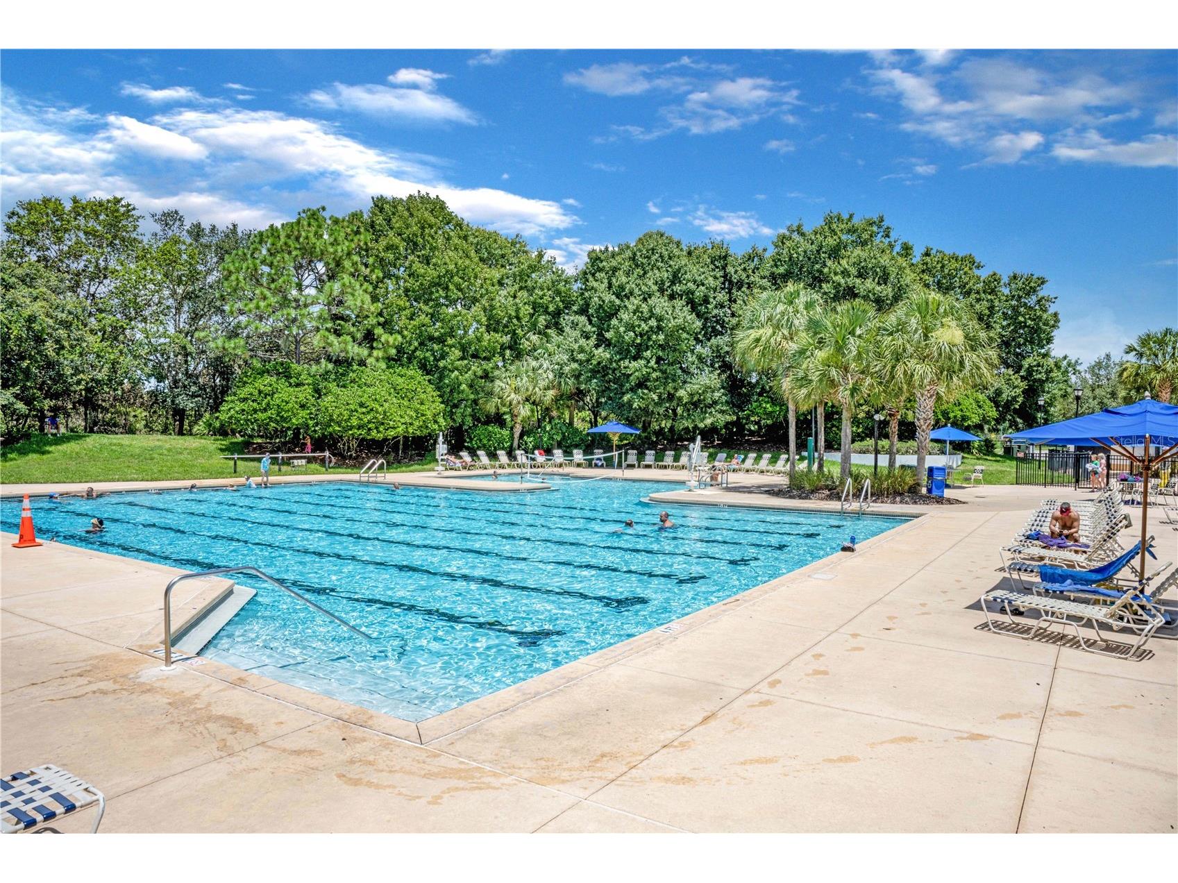 5911 Phoebenest Drive Lithia FL 33547 TB8472322 image58