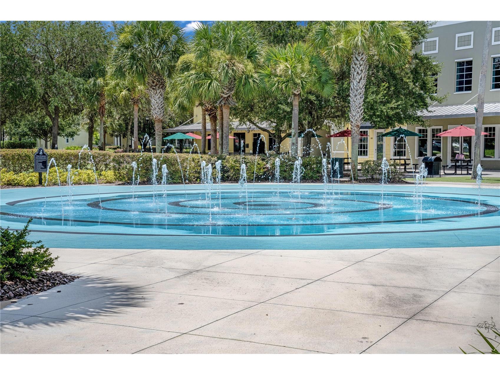 5911 Phoebenest Drive Lithia FL 33547 TB8472322 image61