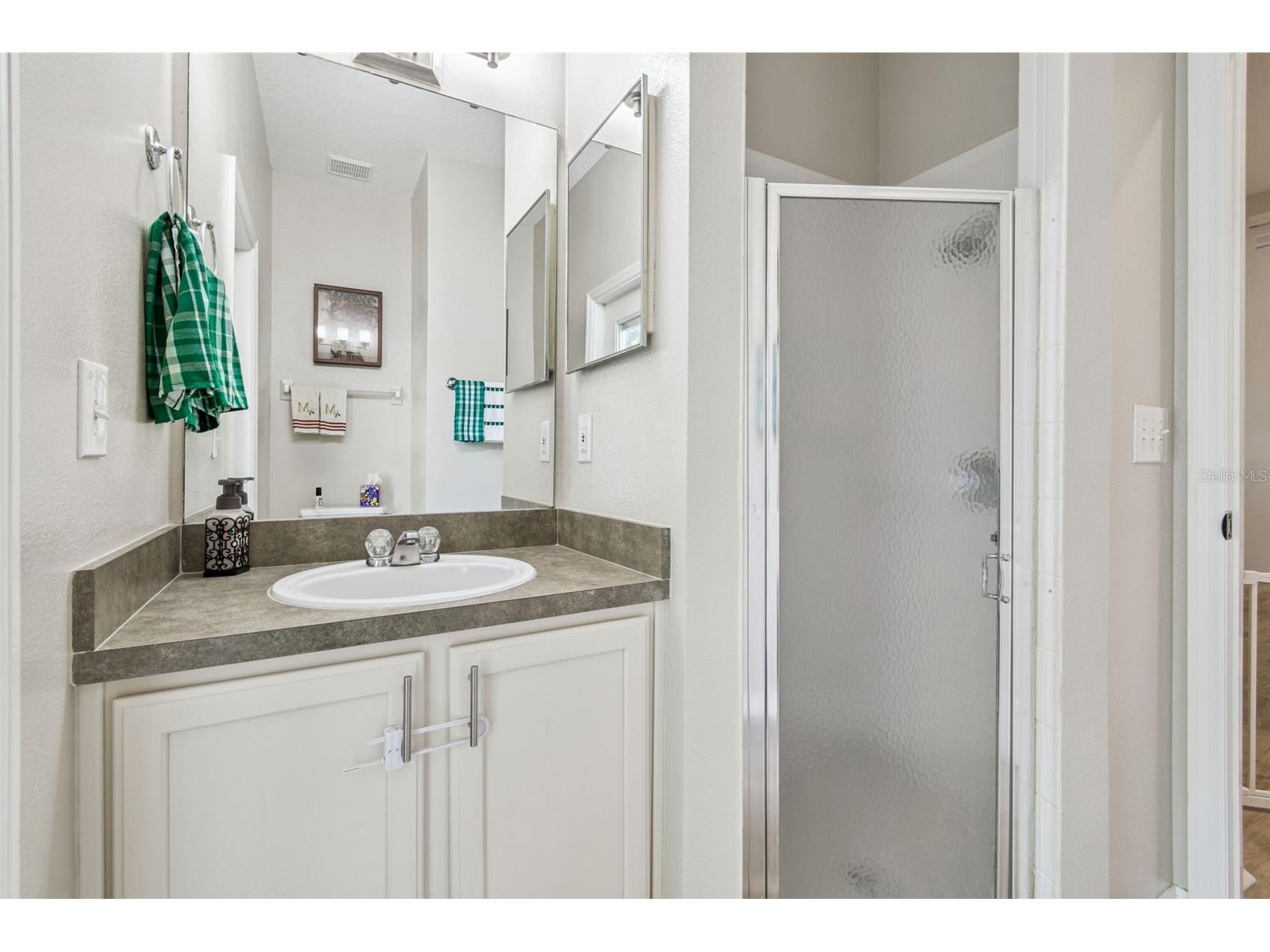 5911 Plummer Slade Court Tampa FL 33625 TB8452156 image24