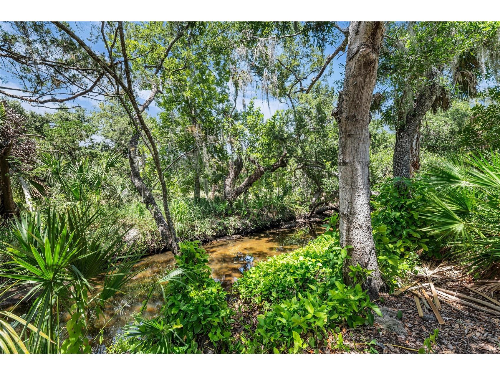 5911 River Forest Circle Bradenton FL 34203 - BRADEN RIVER A4698062 image64