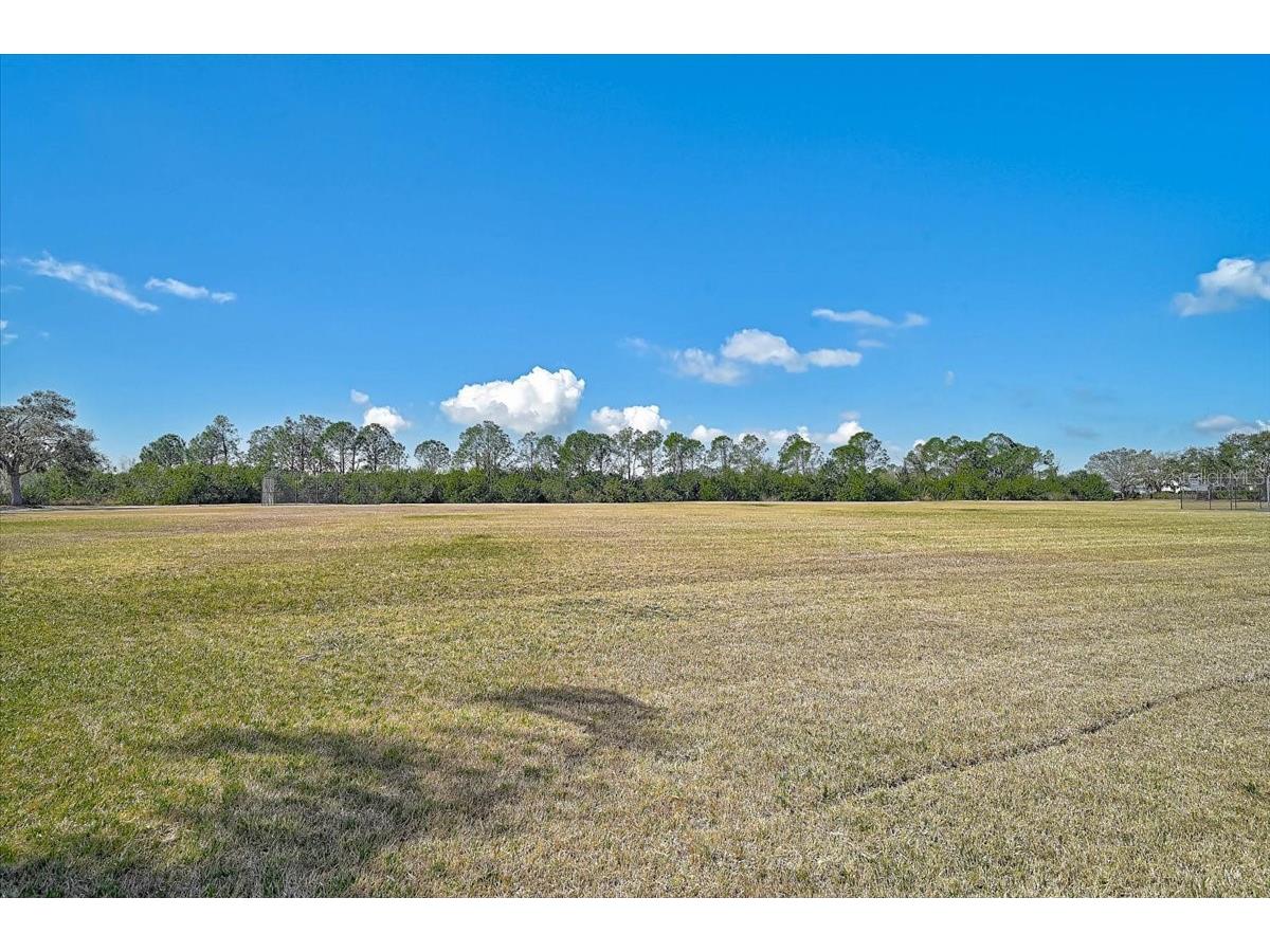 5912 100th Avenue E Parrish FL 34219 A4680798 image42