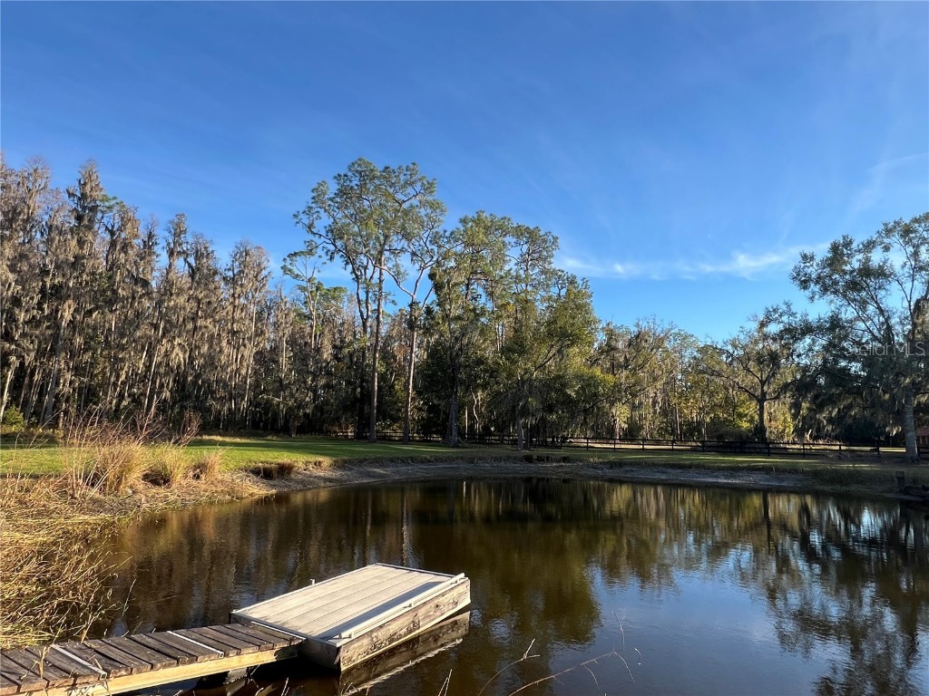 5912 Bailey Road Plant City FL 33565 TB8453133 image22