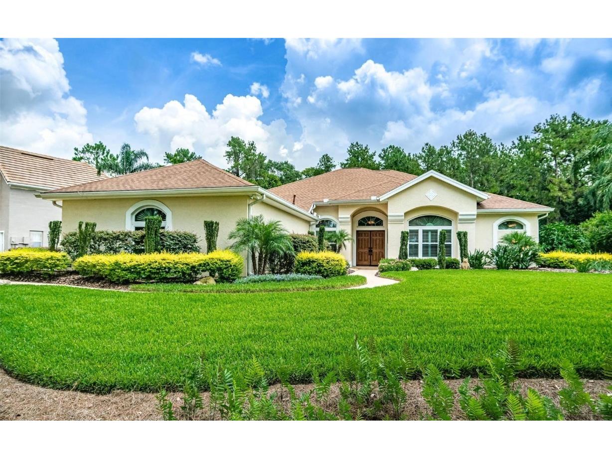 5912 Flatwoods Manor Circle Lithia FL 33547 T3459723 image1