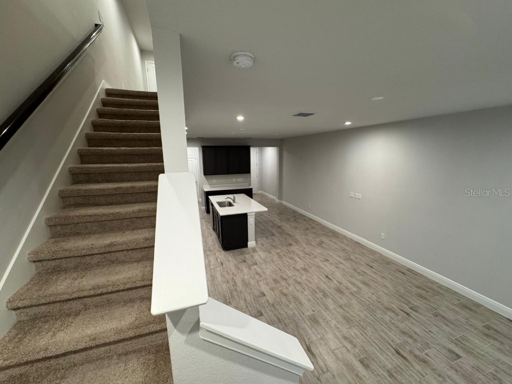 5912 Grand Sonata Avenue Lutz FL 33558 S5135932 image11