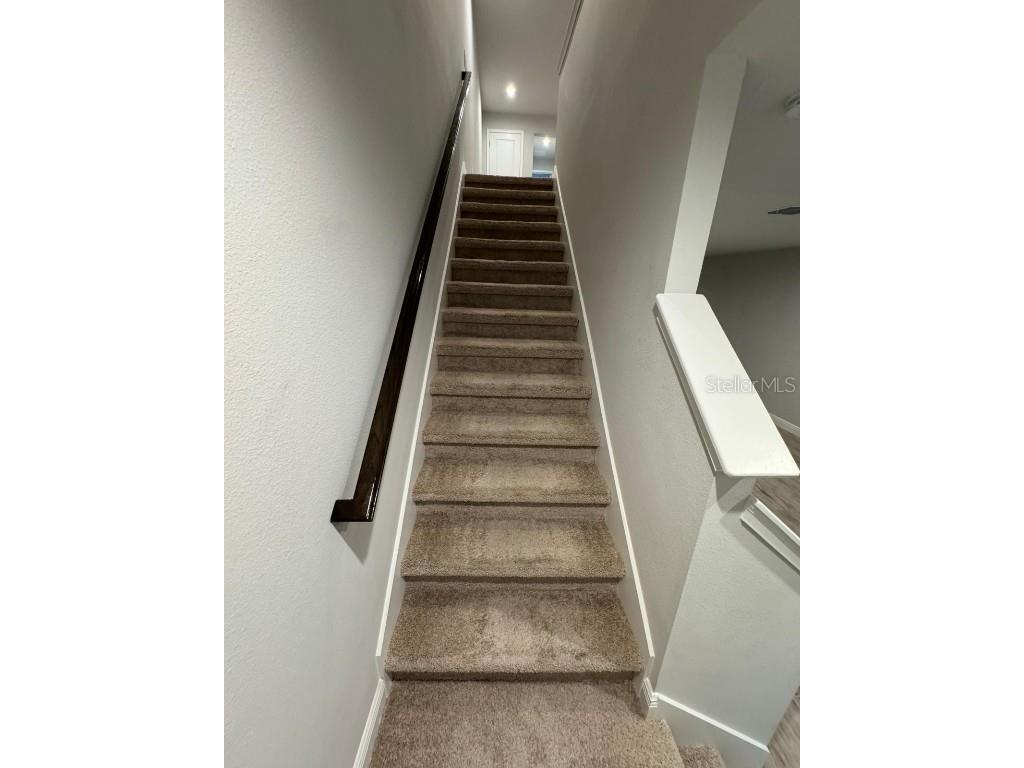 5912 Grand Sonata Avenue Lutz FL 33558 S5135932 image12