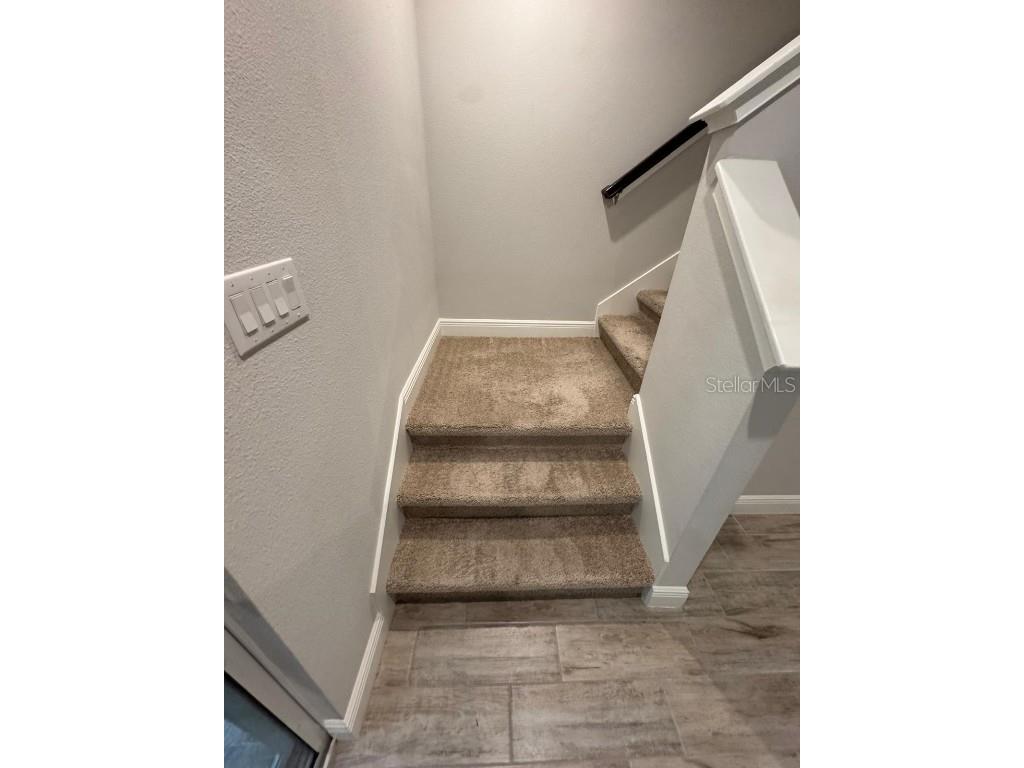 5912 Grand Sonata Avenue Lutz FL 33558 S5135932 image13