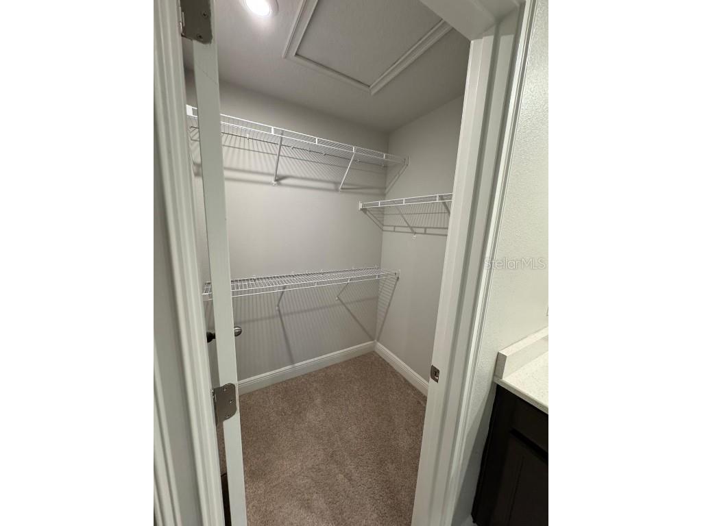 5912 Grand Sonata Avenue Lutz FL 33558 S5135932 image18