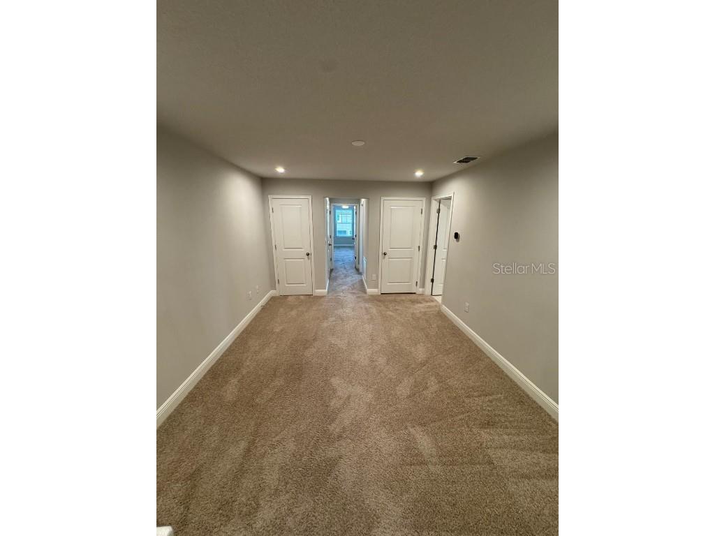 5912 Grand Sonata Avenue Lutz FL 33558 S5135932 image21