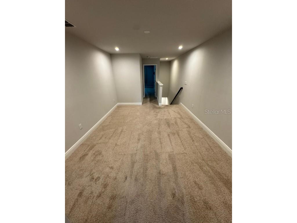 5912 Grand Sonata Avenue Lutz FL 33558 S5135932 image22