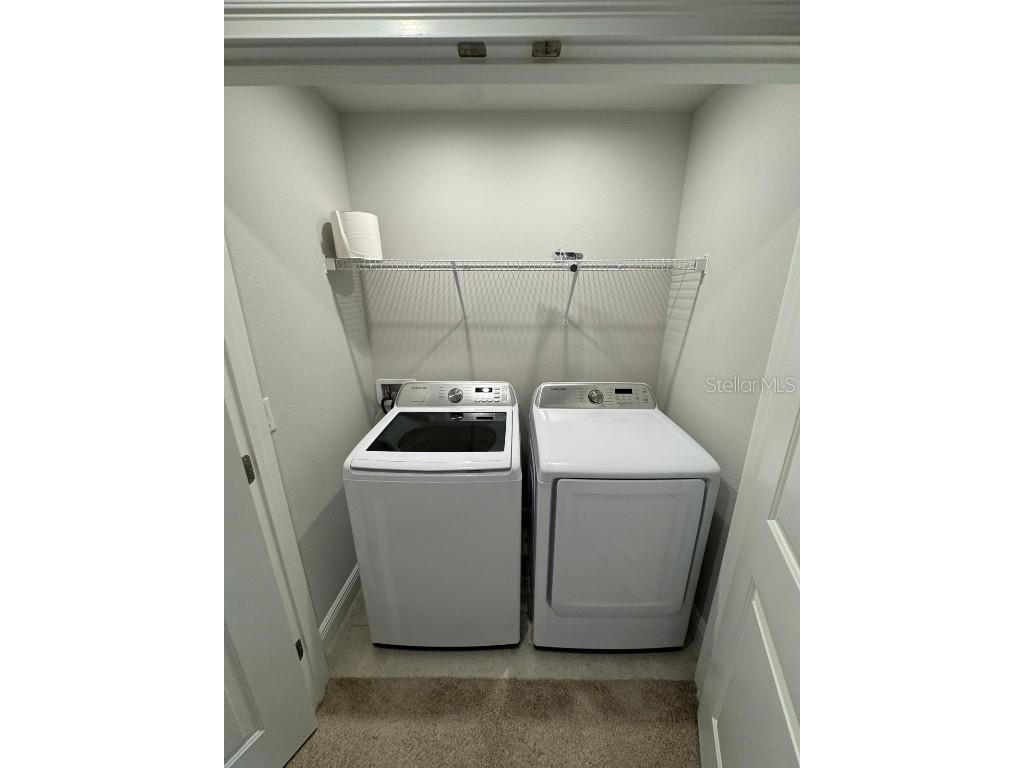 5912 Grand Sonata Avenue Lutz FL 33558 S5135932 image25