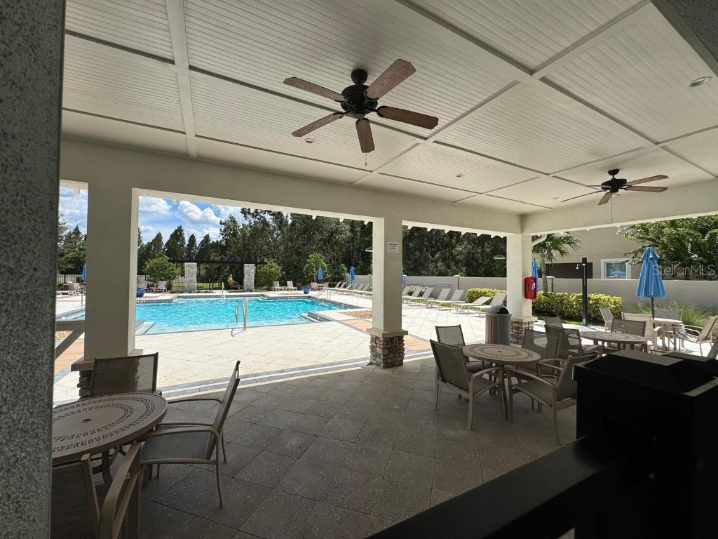 5912 Grand Sonata Avenue Lutz FL 33558 S5135932 image33