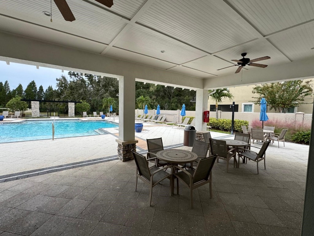 5912 Grand Sonata Avenue Lutz FL 33558 S5135932 image35