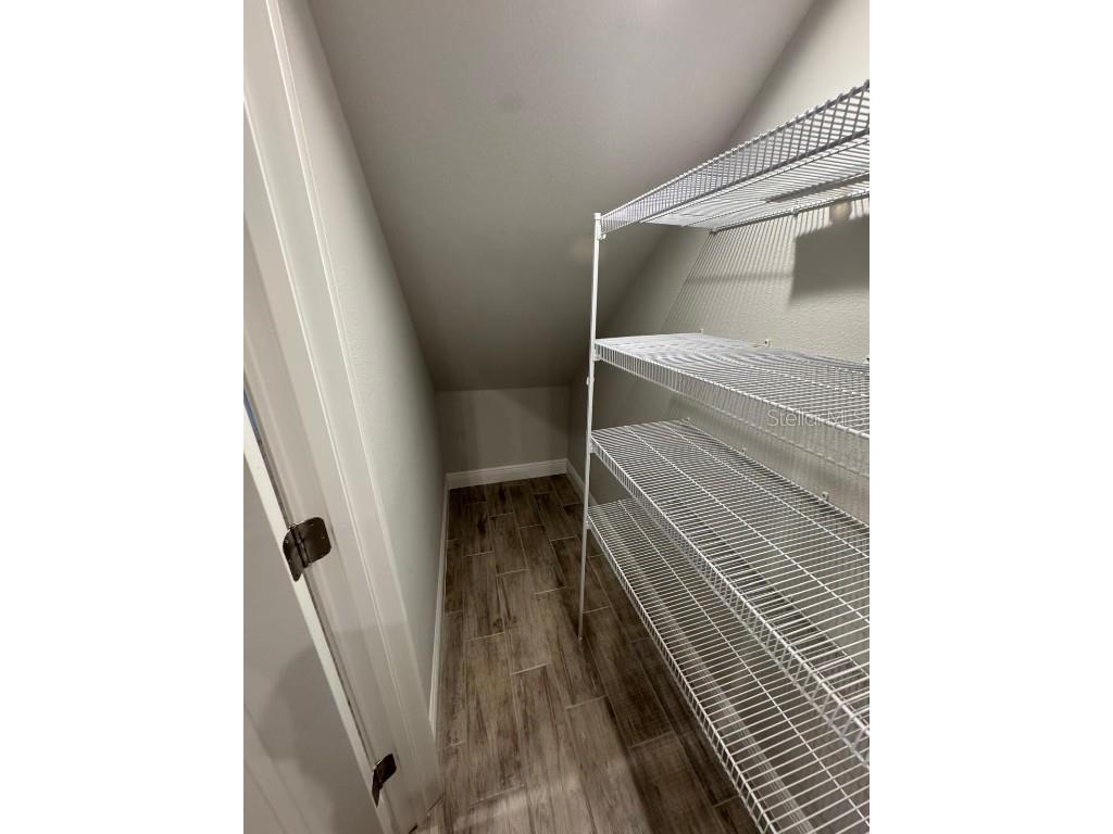 5912 Grand Sonata Avenue Lutz FL 33558 S5135932 image9