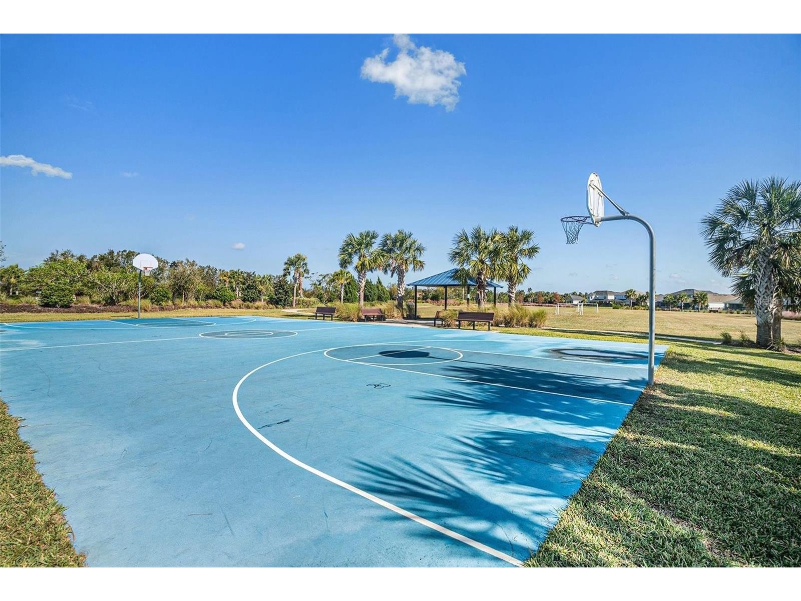 5912 Laurelcrest Glen Palmetto FL 34221 A4685666 image24