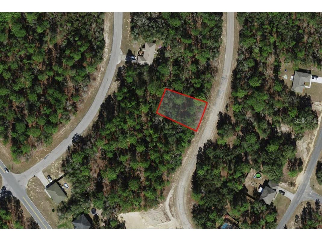 5912 N Matheson Drive Citrus Springs FL 34434 A4644806 image1
