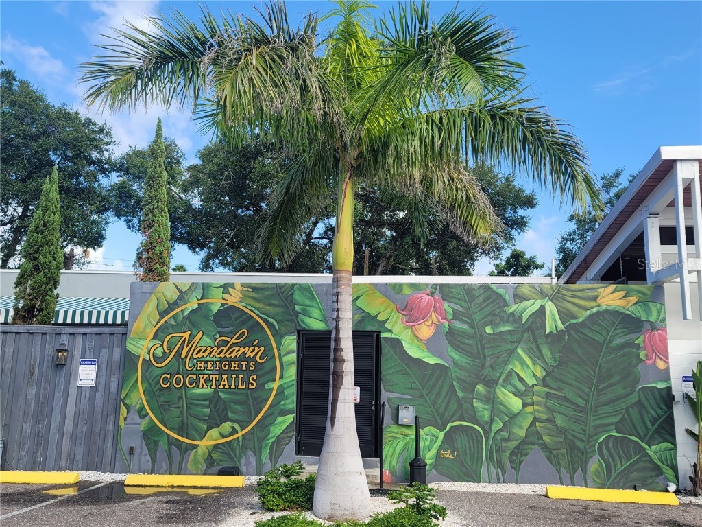 5912 N Suwanee Avenue Tampa FL 33604 TB8433405 image52