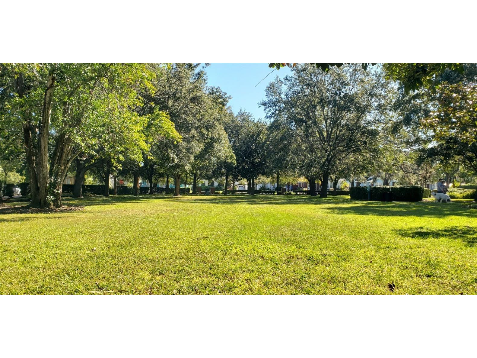 5912 N Suwanee Avenue Tampa FL 33604 TB8433405 image60