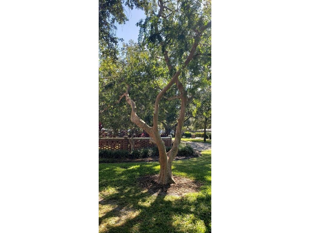 5912 N Suwanee Avenue Tampa FL 33604 TB8433405 image67