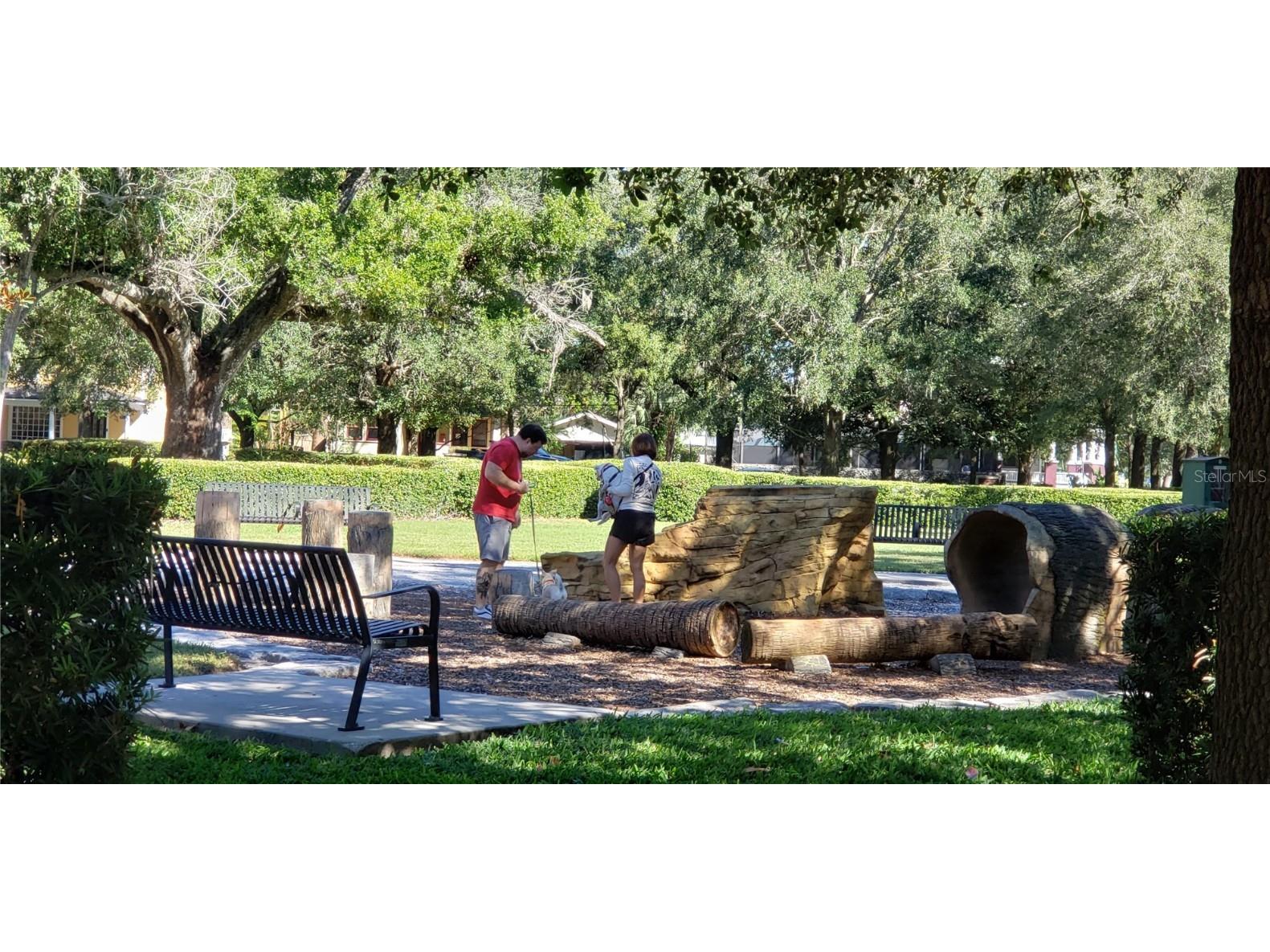 5912 N Suwanee Avenue Tampa FL 33604 TB8433405 image68