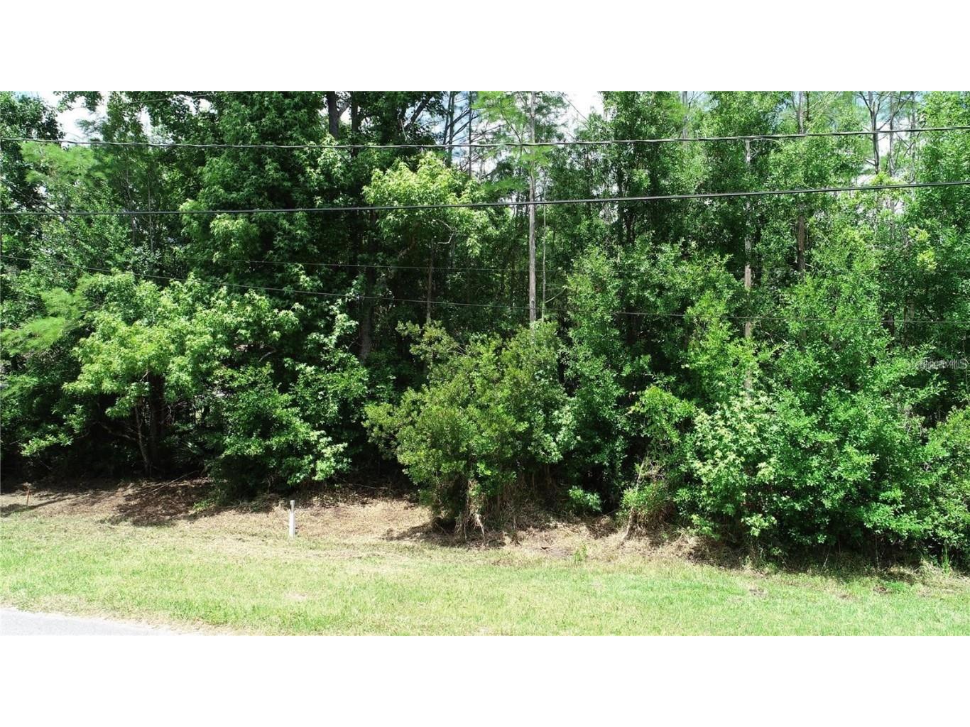 5913 Edgerton Avenue Orlando FL 32833 O6226428 image1