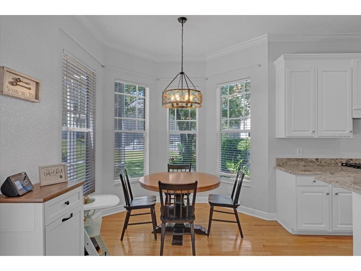 5913 Flatwoods Manor Circle Lithia FL 33547 TB8498141 image12