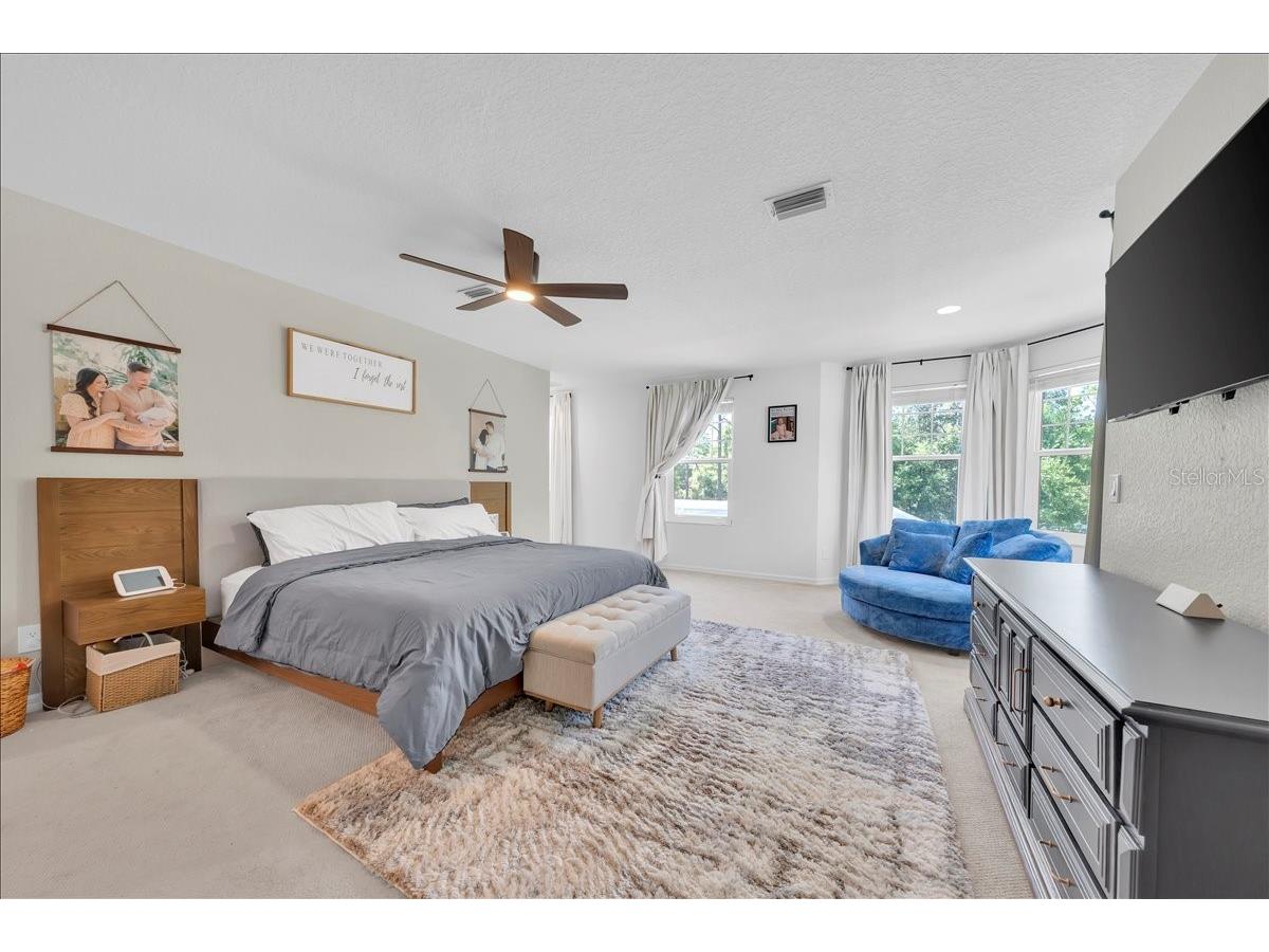 5913 Flatwoods Manor Circle Lithia FL 33547 TB8498141 image16