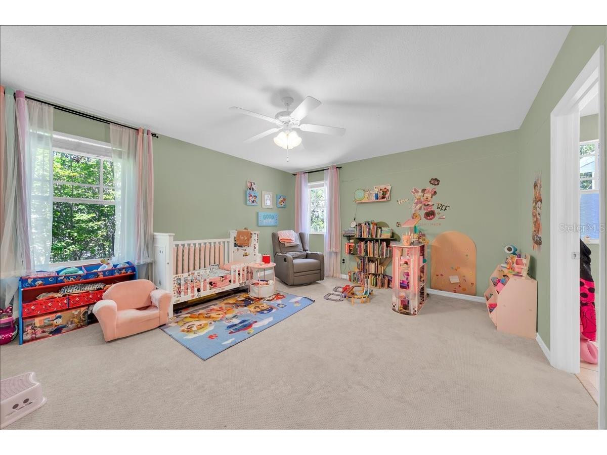 5913 Flatwoods Manor Circle Lithia FL 33547 TB8498141 image20