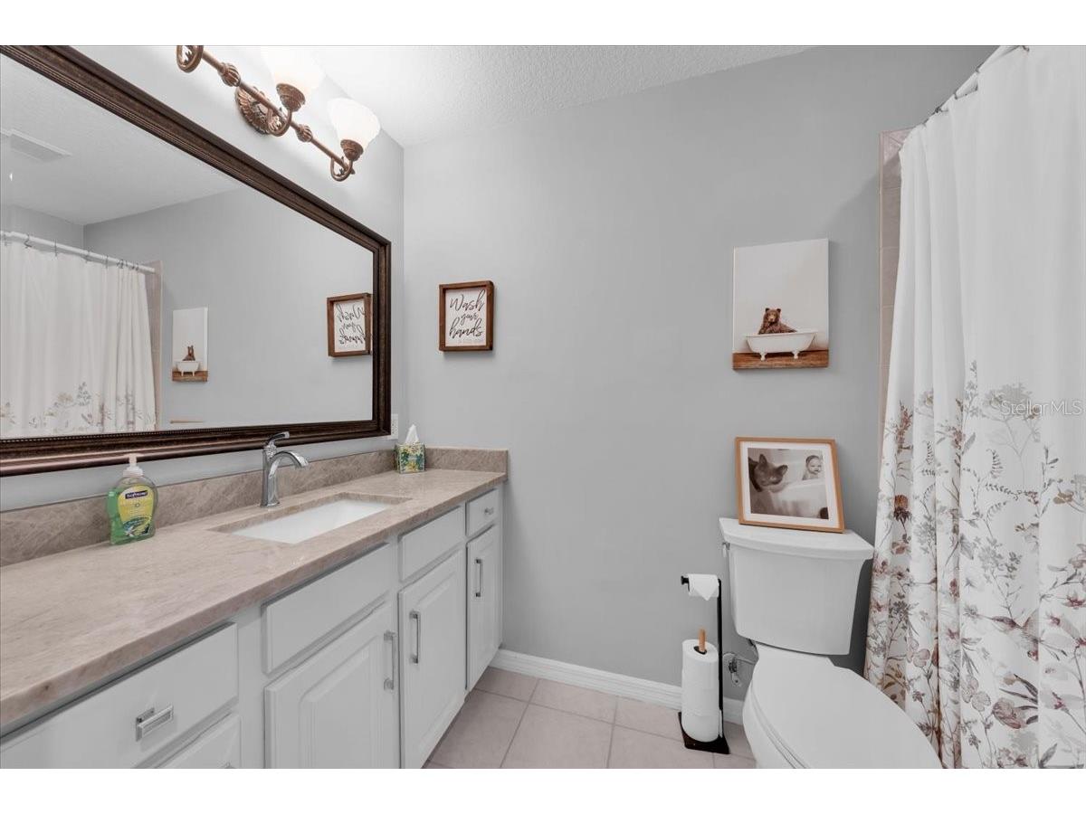 5913 Flatwoods Manor Circle Lithia FL 33547 TB8498141 image23