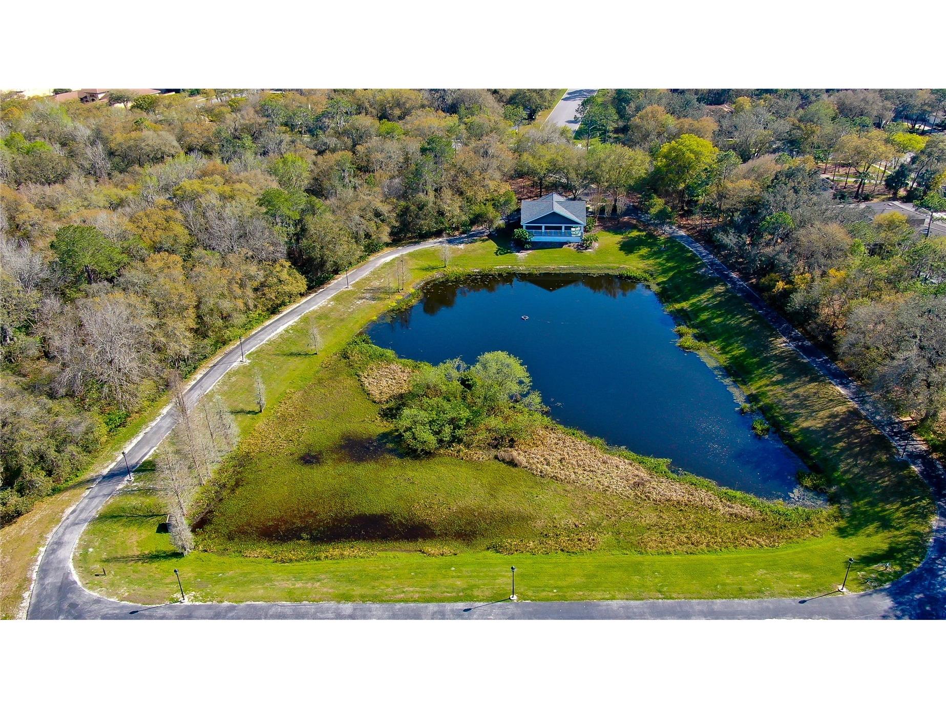 5913 Flatwoods Manor Circle Lithia FL 33547 TB8498141 image49