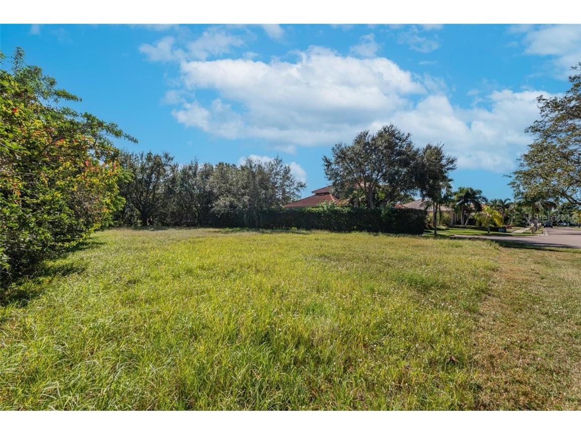 5913 La Rosa Lane Apollo Beach FL 33572 TB8346832 image4