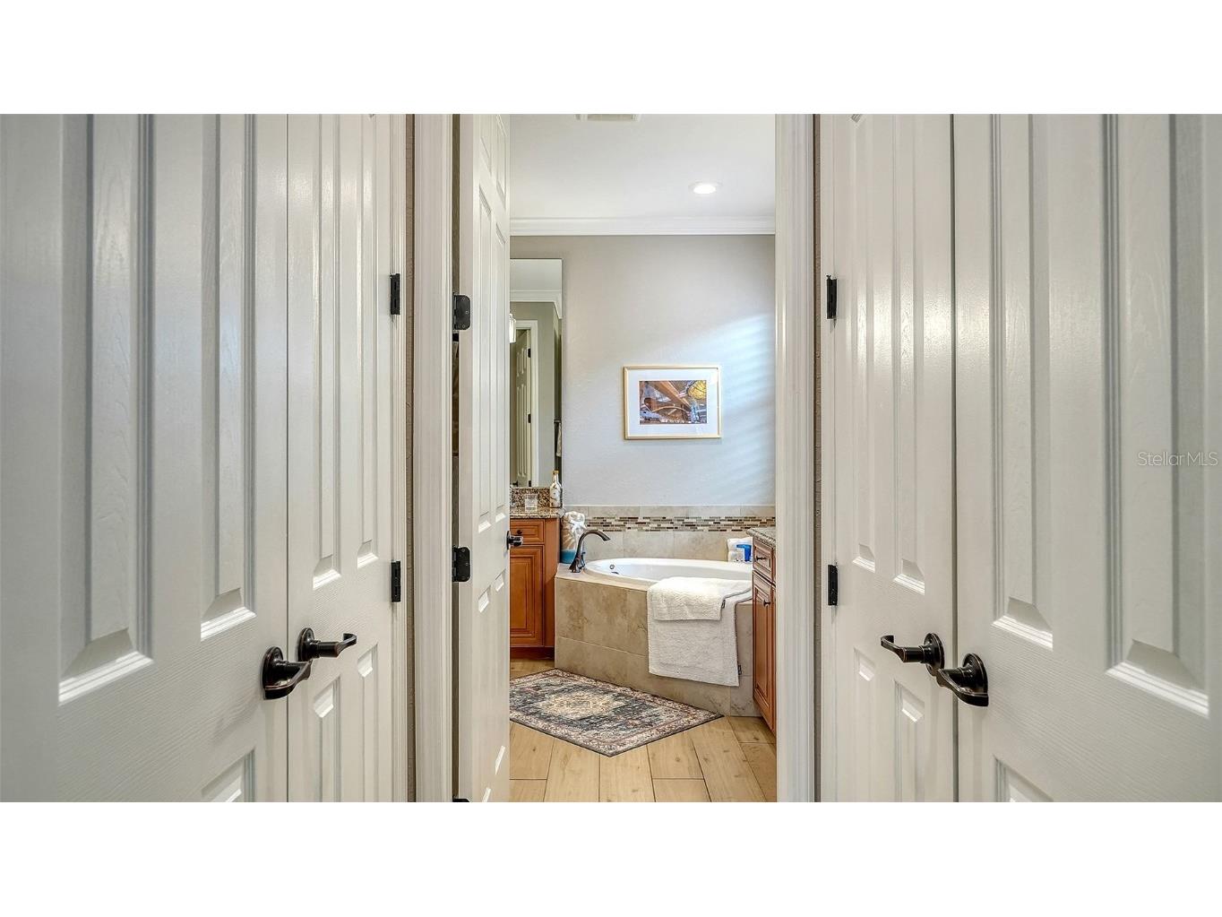 5914 Cessna Run Lakewood Ranch FL 34211 A4649707 image29