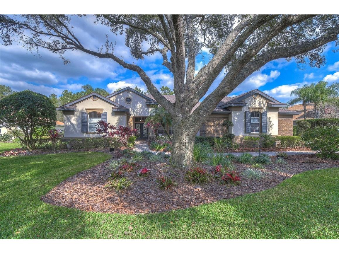 5914 Flatwoods Manor Circle Lithia FL 33547 T3499643 image1