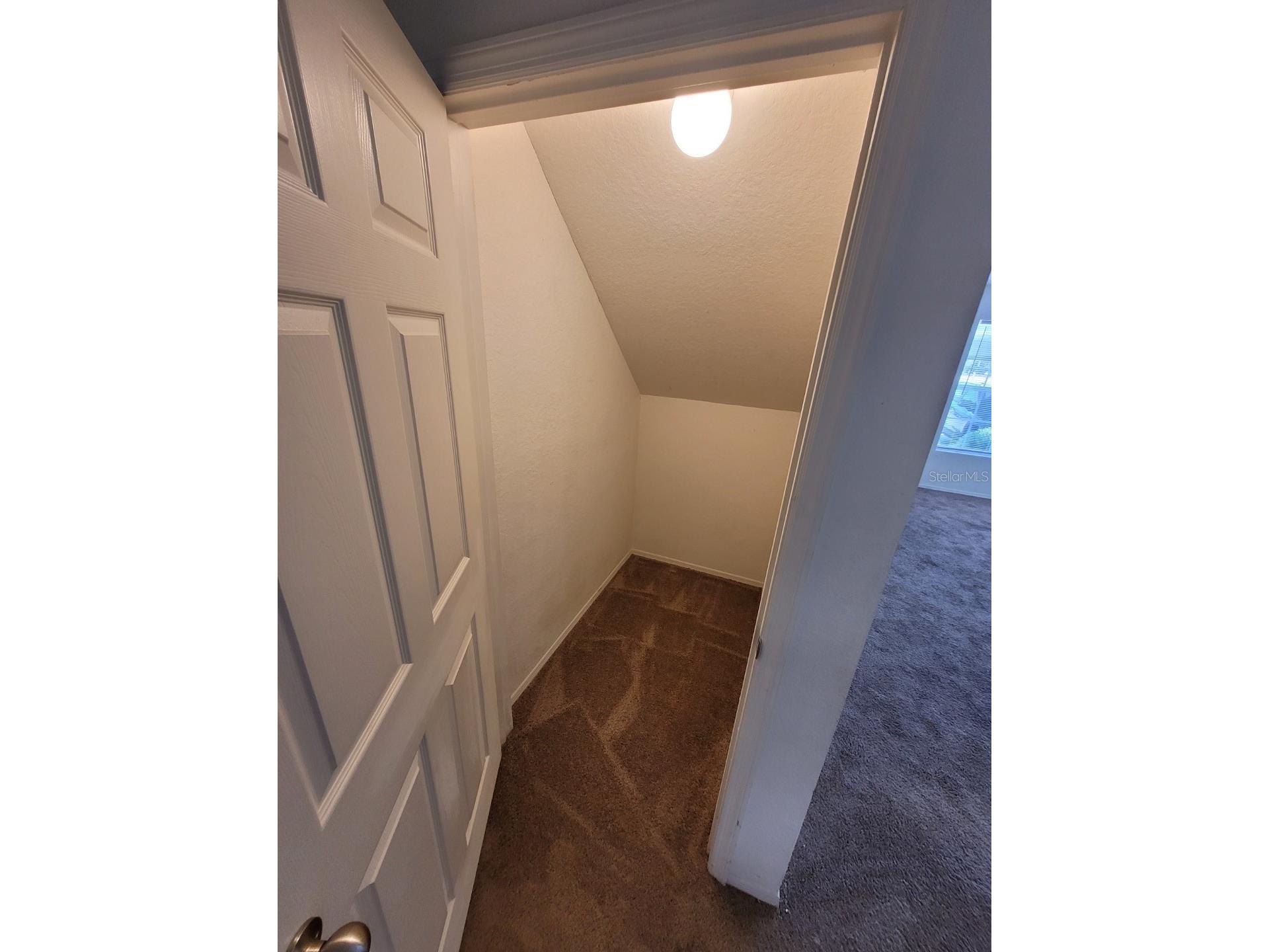 5914 Willow Ridge Drive #101 Zephyrhills FL 33541 TB8507595 image14