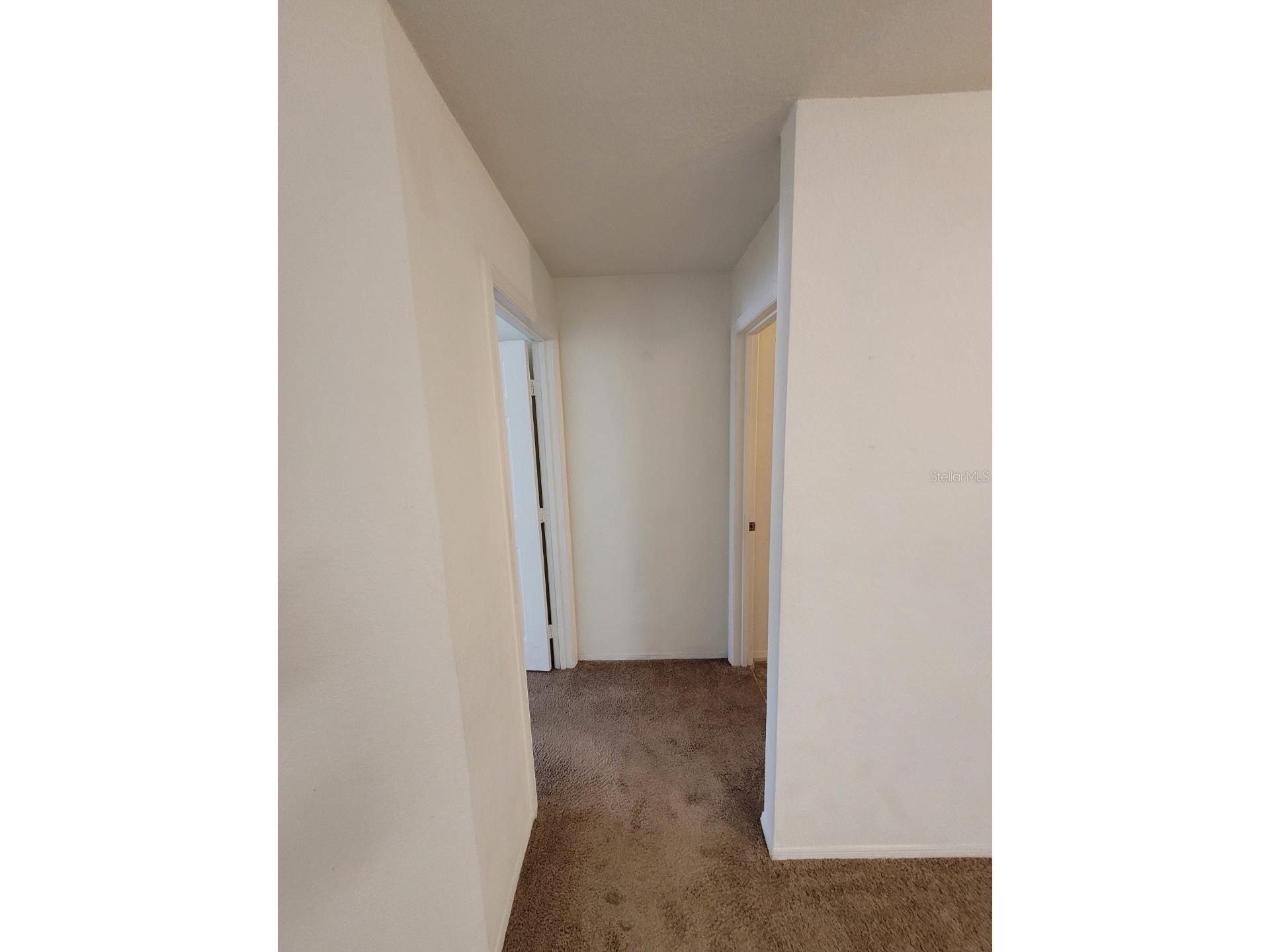 5914 Willow Ridge Drive #101 Zephyrhills FL 33541 TB8507595 image24