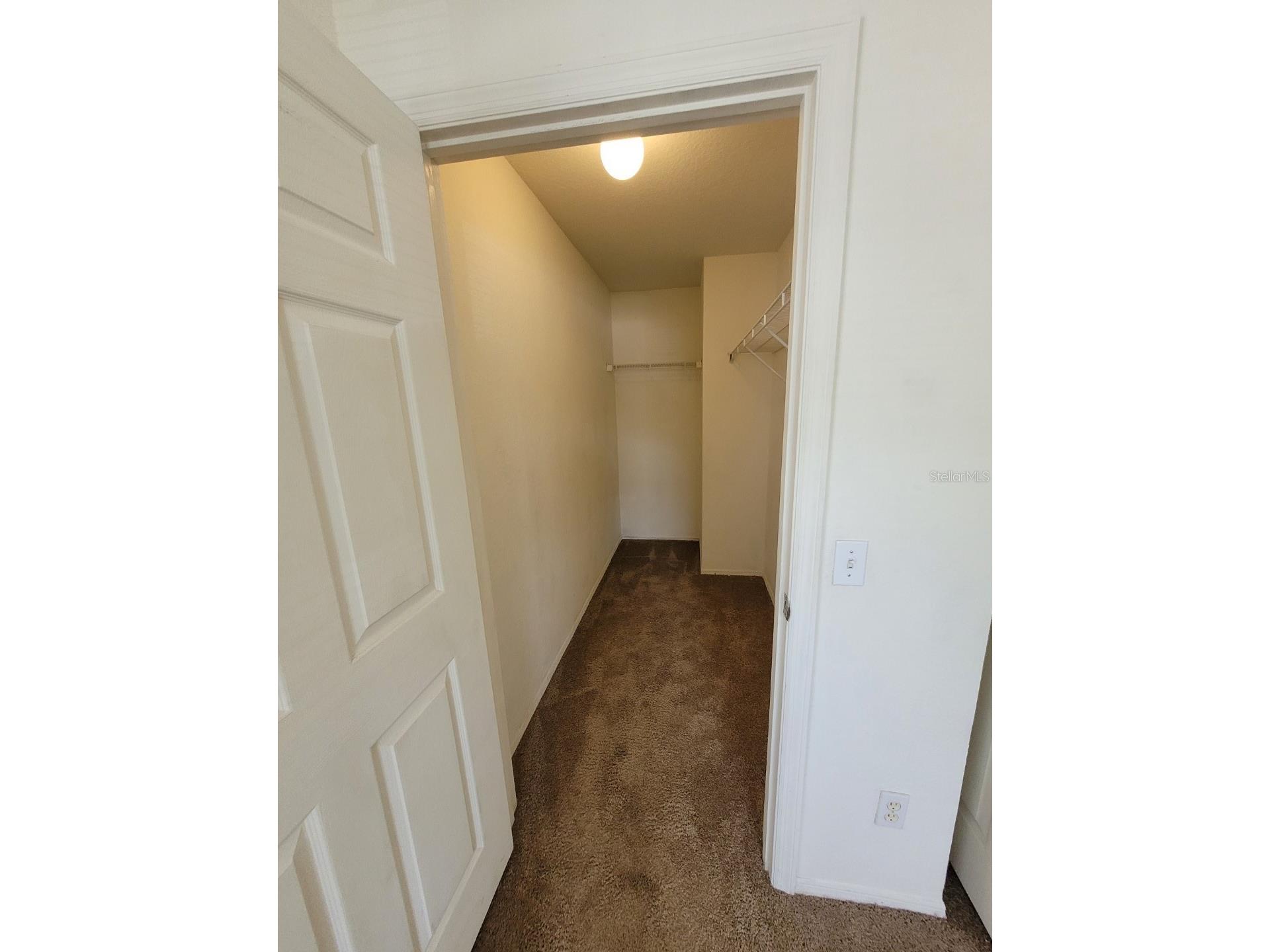 5914 Willow Ridge Drive #101 Zephyrhills FL 33541 TB8507595 image28