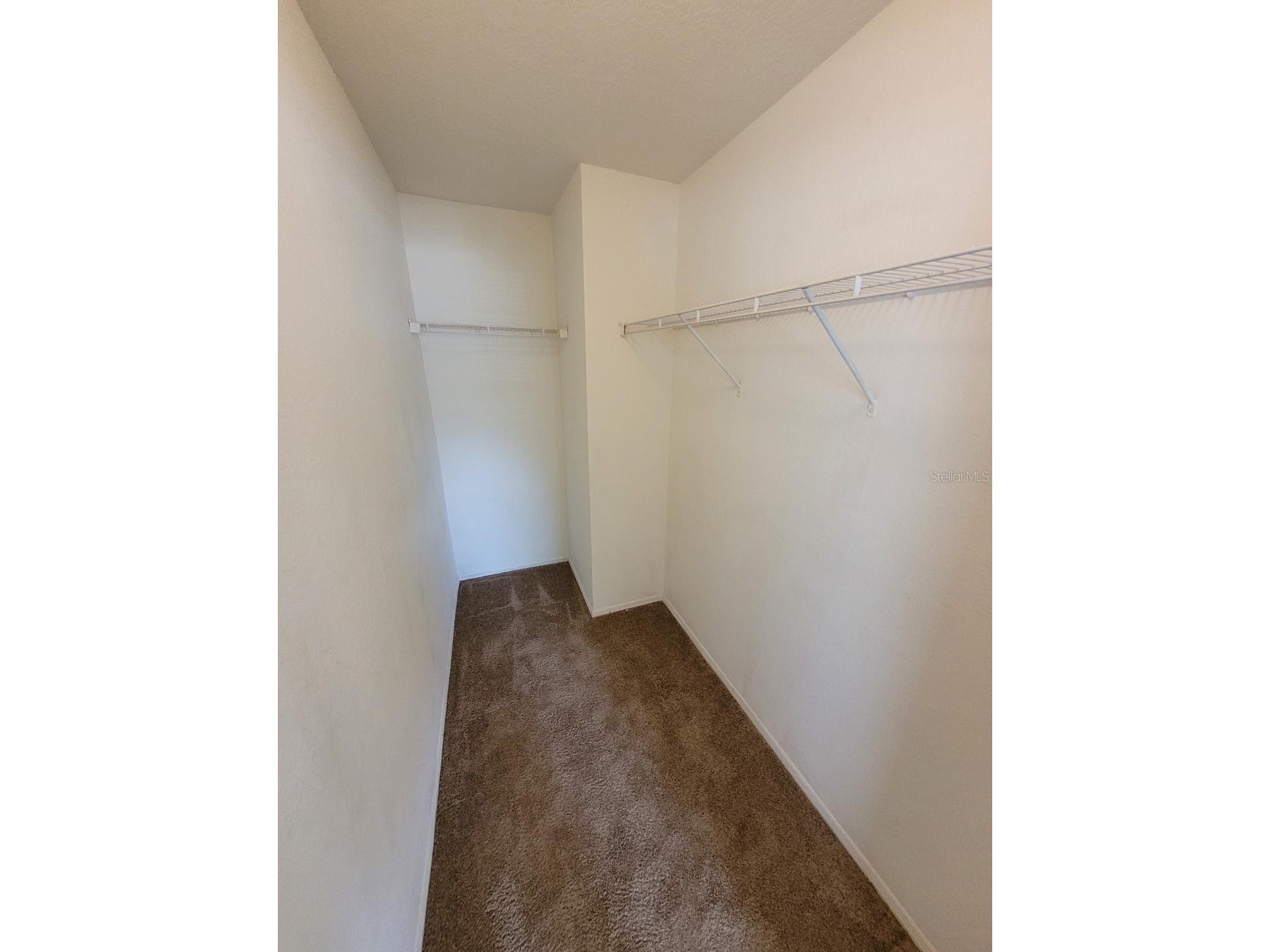 5914 Willow Ridge Drive #101 Zephyrhills FL 33541 TB8507595 image29